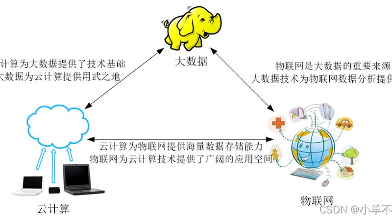 物流数字化转型：揭秘定制化解决方案的要点
